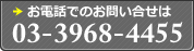 お電話でのお問い合せは　03-3968-4455